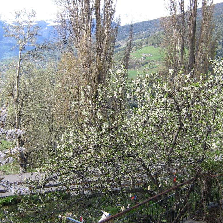 Breckenbreck monolocale CIN IT7001C2P4NVWOPA - Casa Vacanze - 37