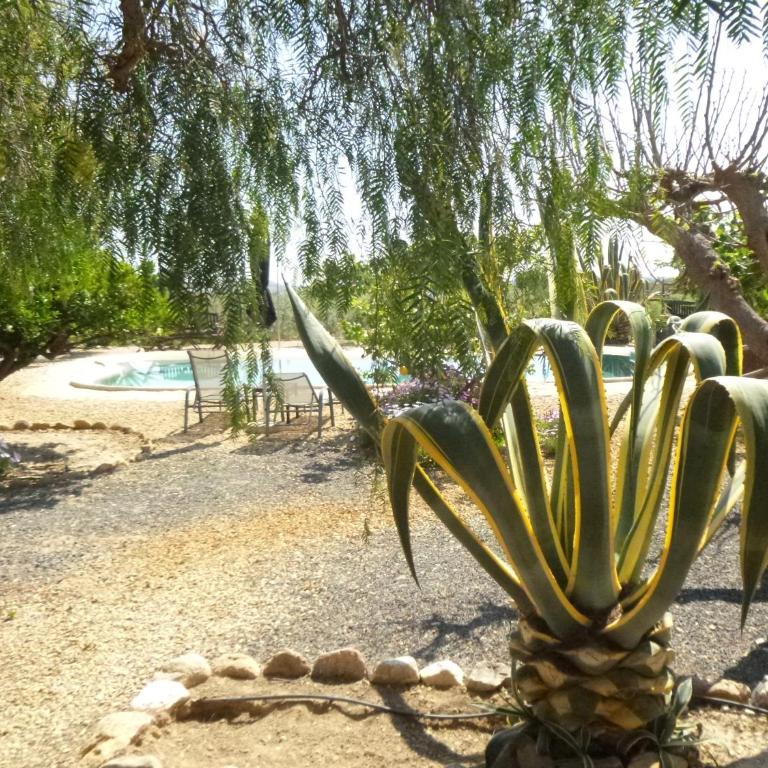 Finca Arboleda - Casa de 2 dormitorios - 23