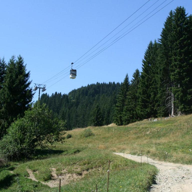 Les Jardins Alpins - Apartment - Appartement avec Vue sur la Montagne - 36