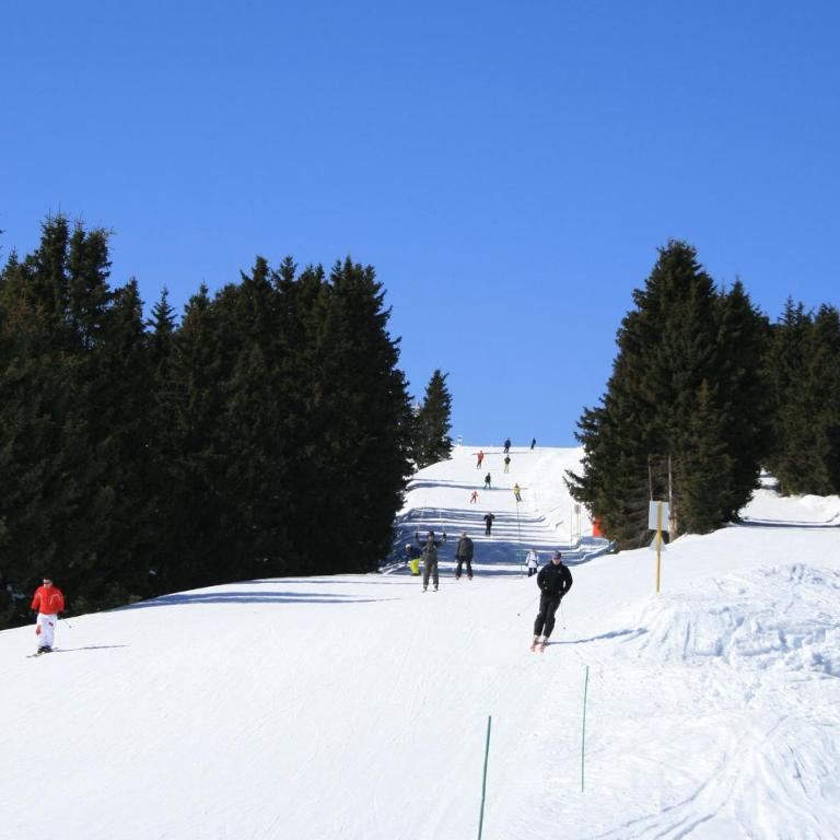 Les Jardins Alpins - Apartment - Appartement avec Vue sur la Montagne - 51