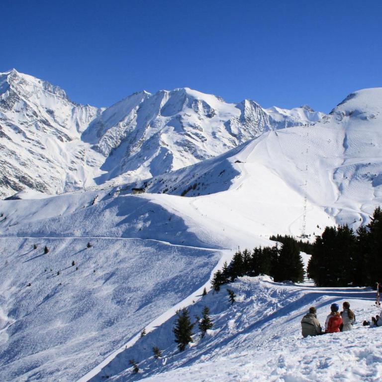 Les Jardins Alpins - Apartment - Appartement avec Vue sur la Montagne - 53