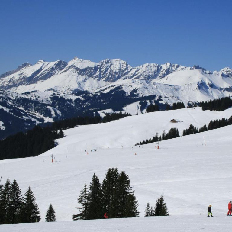 Les Jardins Alpins - Apartment - Appartement avec Vue sur la Montagne - 54
