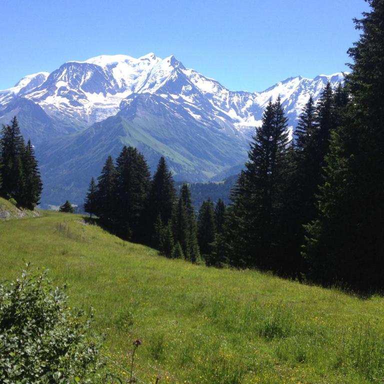 Les Jardins Alpins - Apartment - Appartement avec Vue sur la Montagne - 41