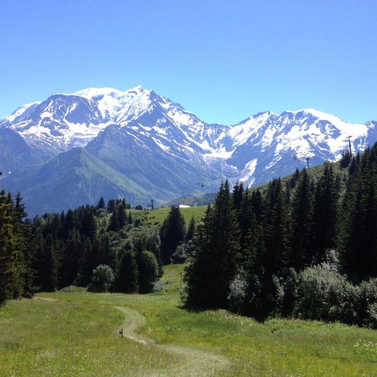 Les Jardins Alpins - Apartment - Appartement avec Vue sur la Montagne - 43