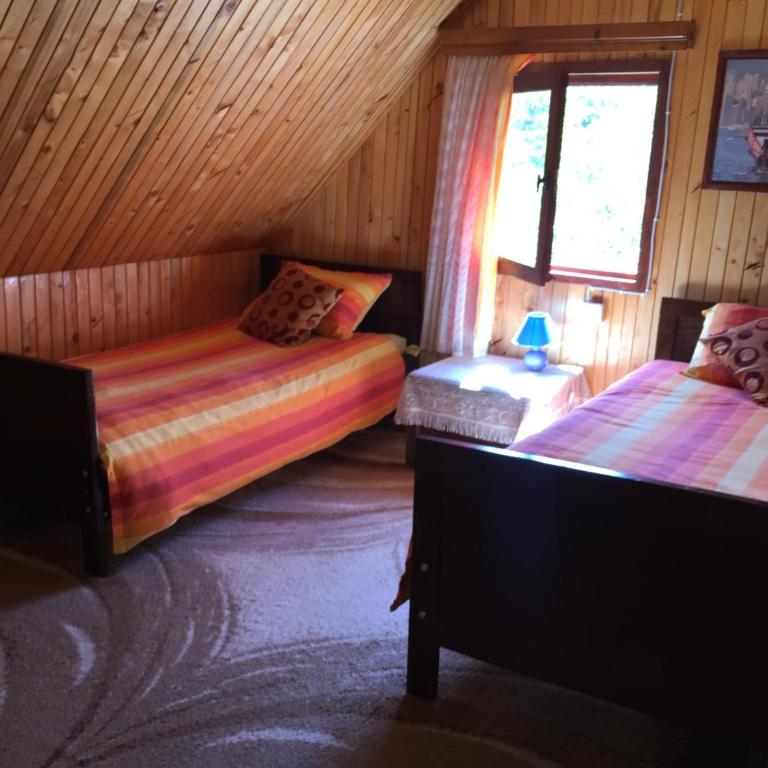 Homestay Djerkovic - Twin Room - 3