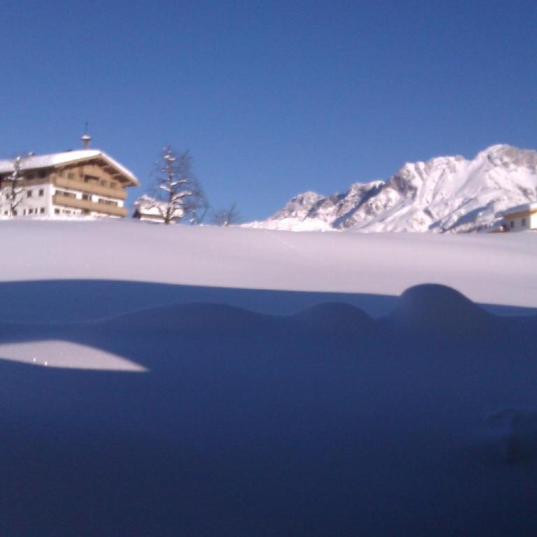 Appartement Seebacher - Apartamento Estudio (2 adultos) - 18