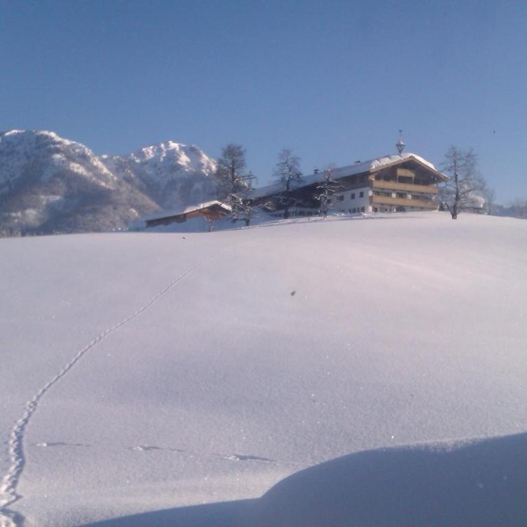 Appartement Seebacher - Apartamento Estudio (2 adultos) - 21