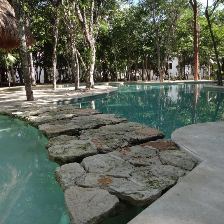 Tropical Paradise Apartment - Apartamento de 2 dormitorios - 1