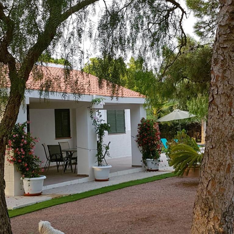 Chalet Bacarot - Four-Bedroom House - 40