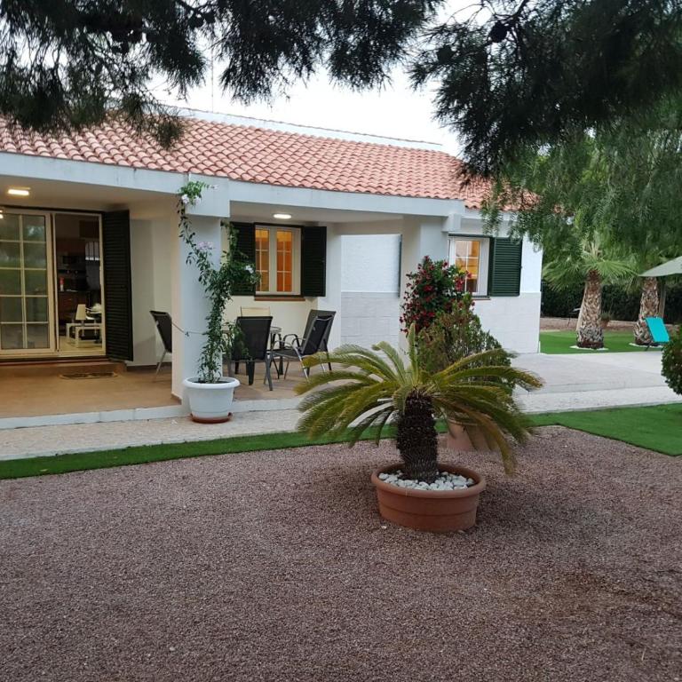 Chalet Bacarot - Four-Bedroom House - 19