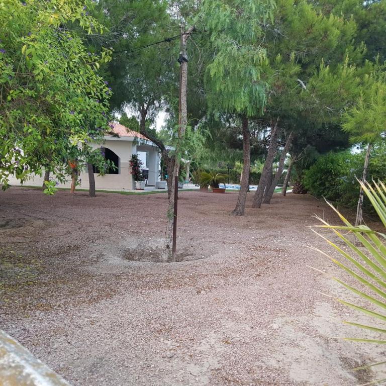 Chalet Bacarot - Four-Bedroom House - 42
