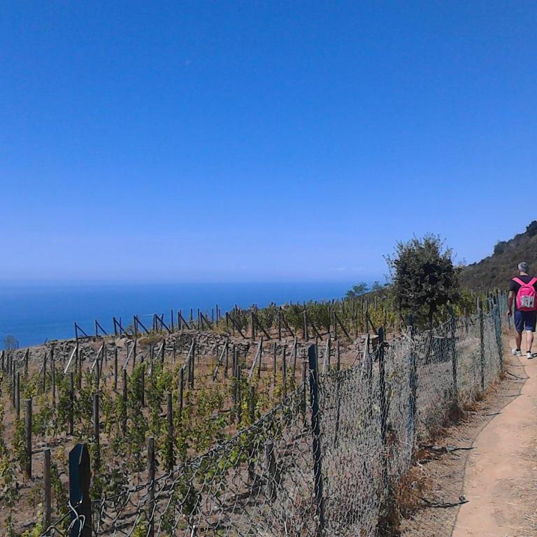 Mare, Monti e...Cinque Terre - Appartamento con 2 Camere da Letto - 25