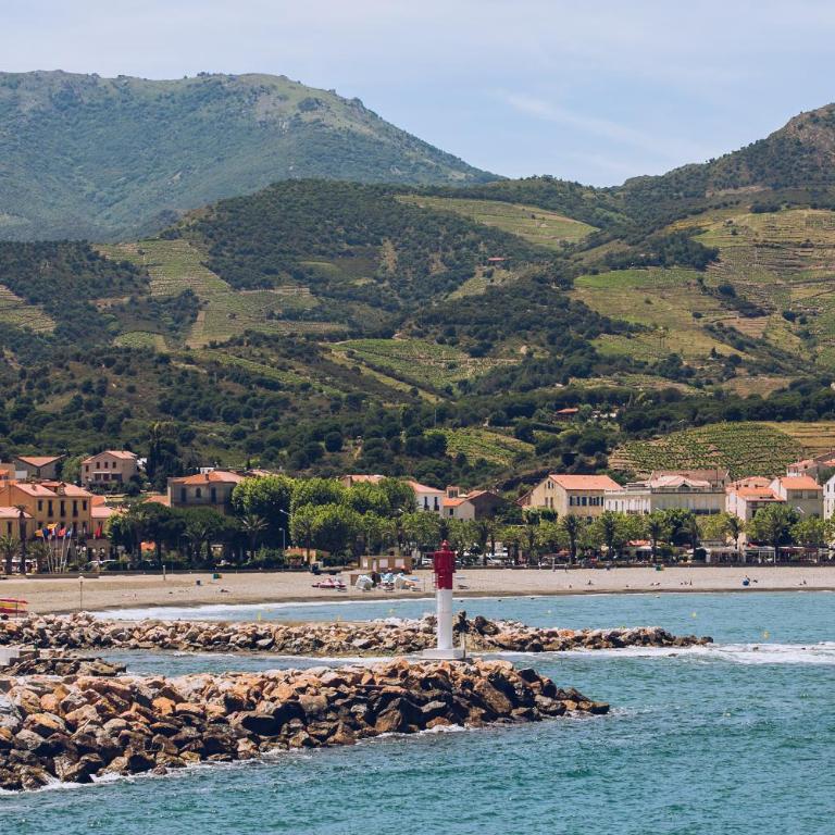 Regina's Banyuls - Spatious apartment next to the beach - Two-Bedroom Apartment - 3