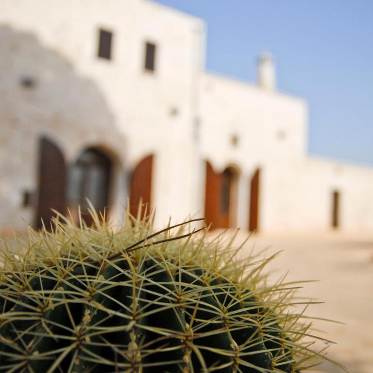 Masseria Valente - Monolocale (2 Adulti) - 2