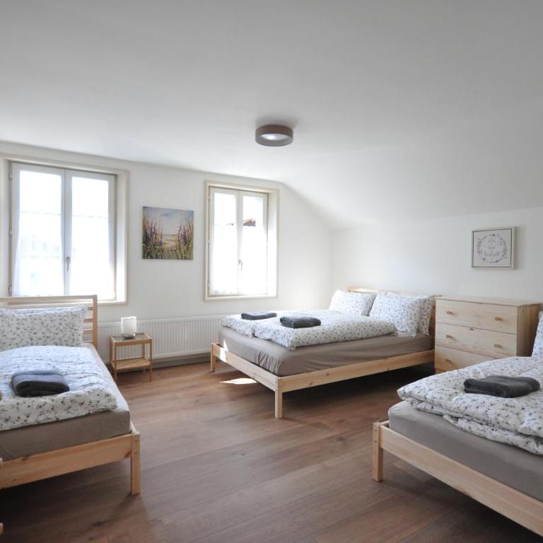 Jungfrau Family Holiday Home - Haus mit 5 Schlafzimmern - 13