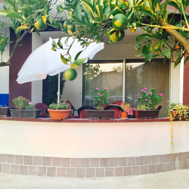 Apartments Flamingo - Apartman - 13