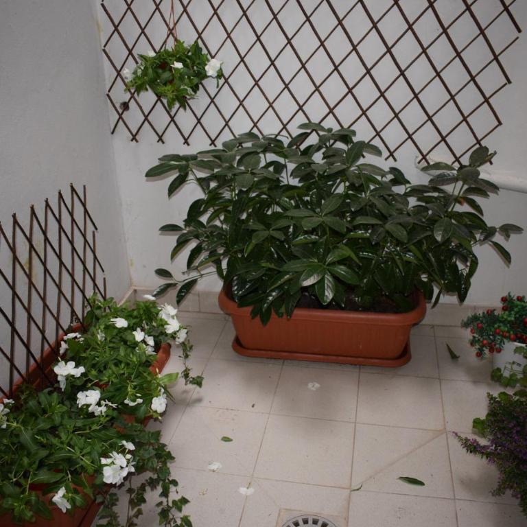 In Bocca ai Sassi - Vacation Home - 26