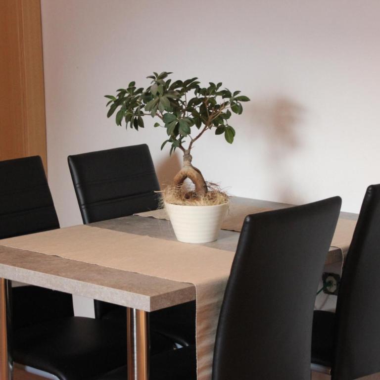Apartment Warmuth - Apartment - 12
