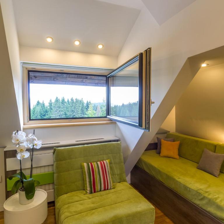 Apartments Mozaik - Studio with Mountain View - 2