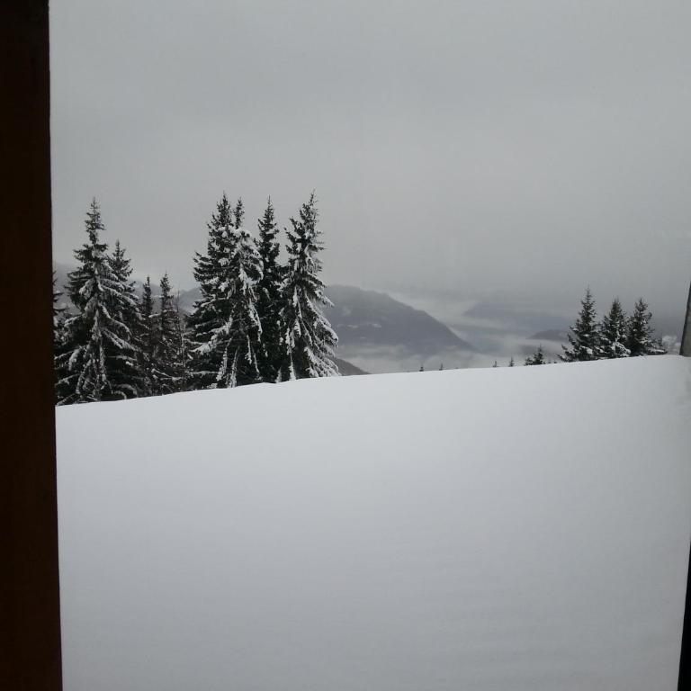 Appartements Le Clos des Gentianes - Apartment mit 4 Schlafzimmern - 4