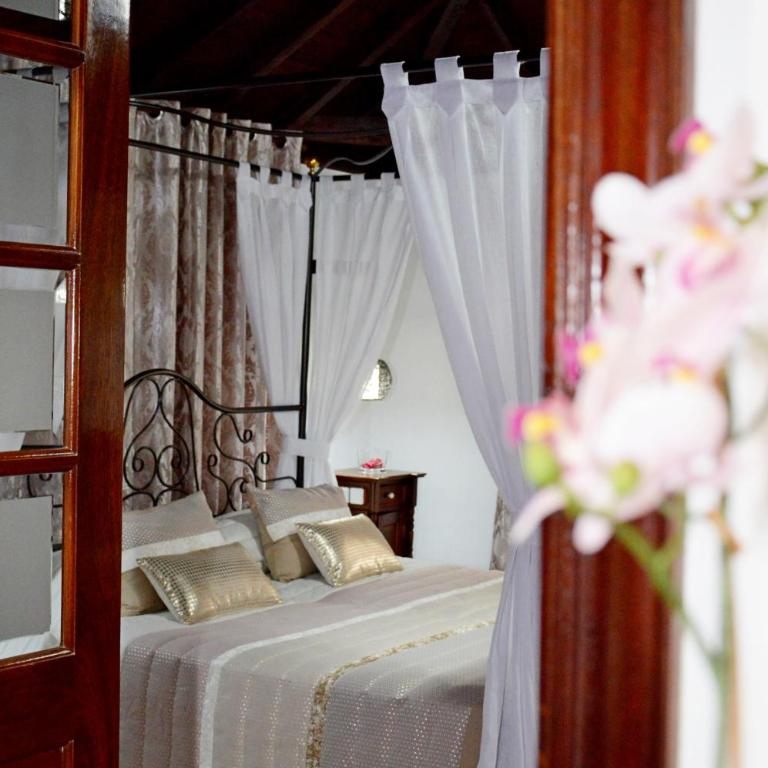 Hotel Drago San Antonio - Suite Superior Deluxe - 6