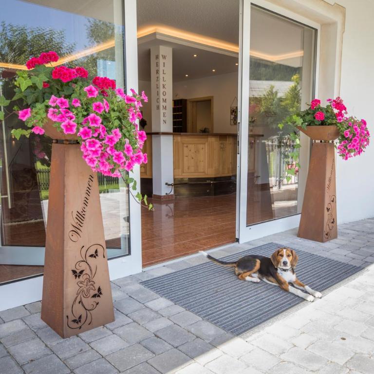 Aparthotel Paradies - Schrempfgut - Studio - 7