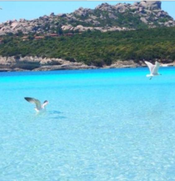 GG Luxury Apartments - Santa Teresa di Gallura - Casa Vacanze - 25