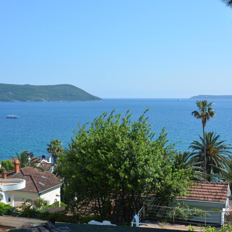 Petrovic house - Studio with Balcony - 1