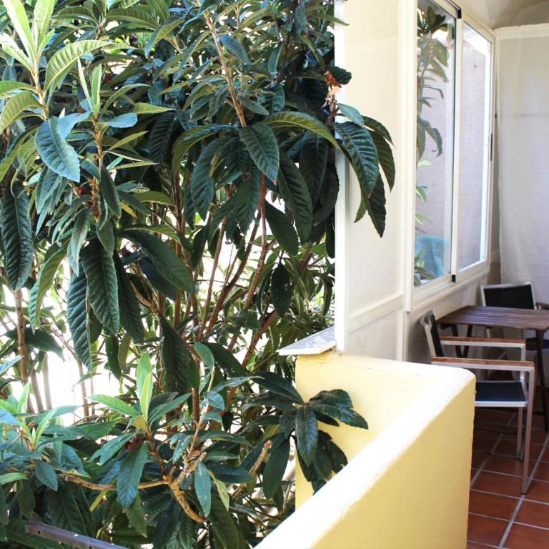 Alevia - Habitación Triple - 4