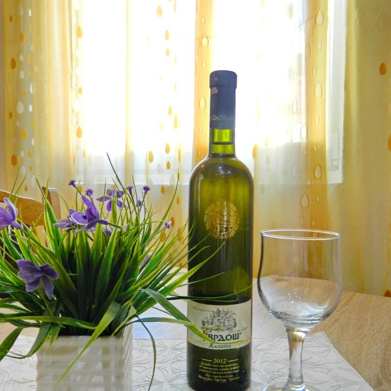 Apartmani Kosjerina - Apartman - 20