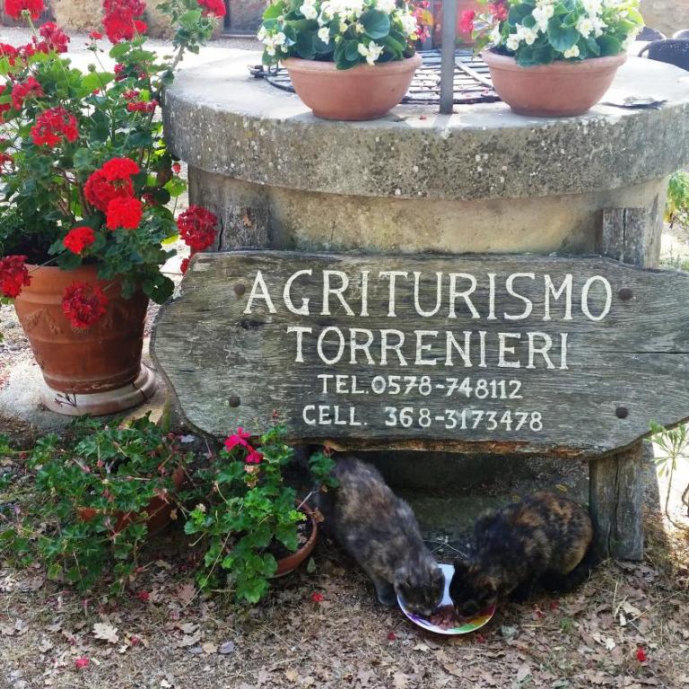 Agriturismo Torrenieri da Alessandro - Appartamento con Terrazza - 2