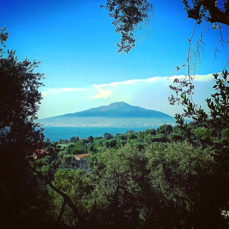 Villa Beatrice - Appartamento Standard - 26