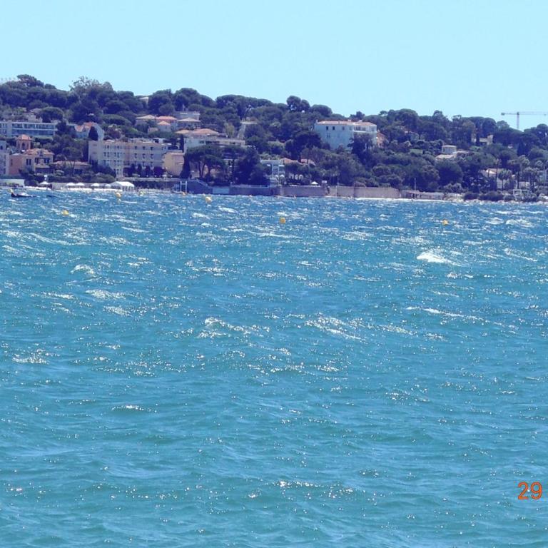 Les Pins Bleus - Antibes Juan Les Pins - Apartamento con vistas al jardín - 20