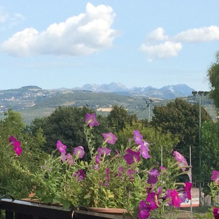 B&B Pergolesi - Twin Room with Terrace - 12