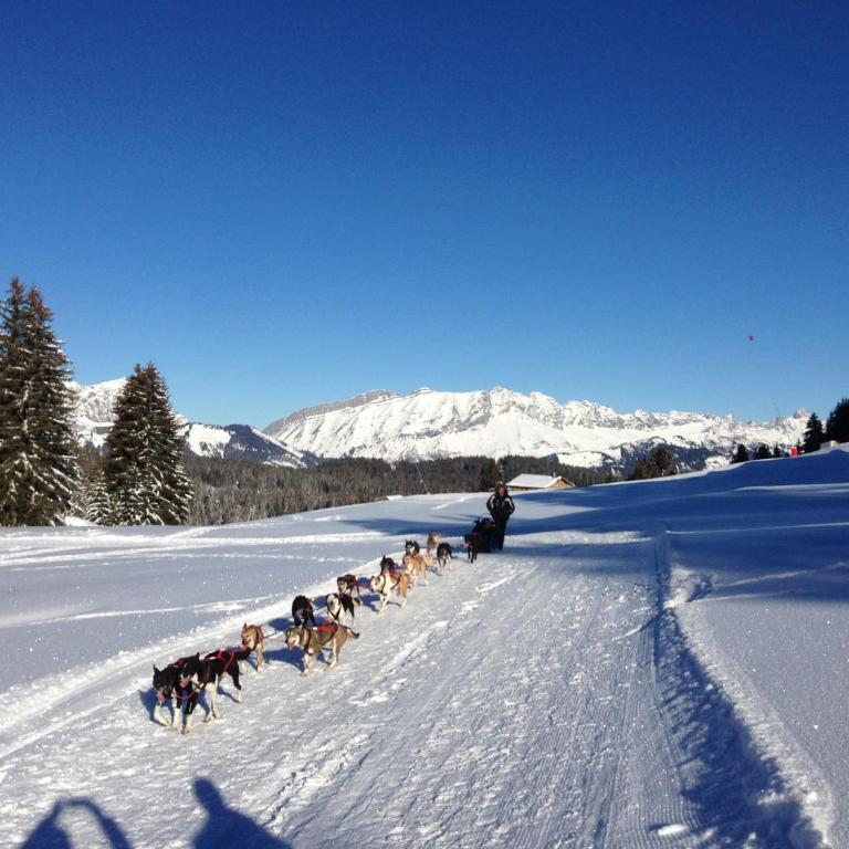 Appartement dans chalet aux saisies-100m des pistes-cœur station 13 pers - Casa - 38