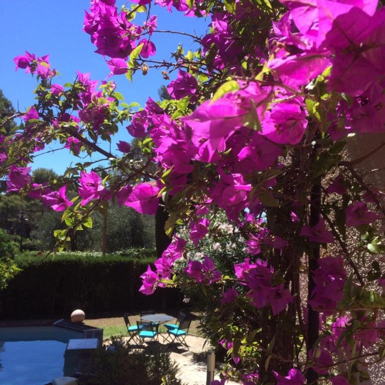 Villa Clair Matin - Antibes - Sea View - Pool - Sauna - Beach - AC - Villa - Vue sur Mer - 12