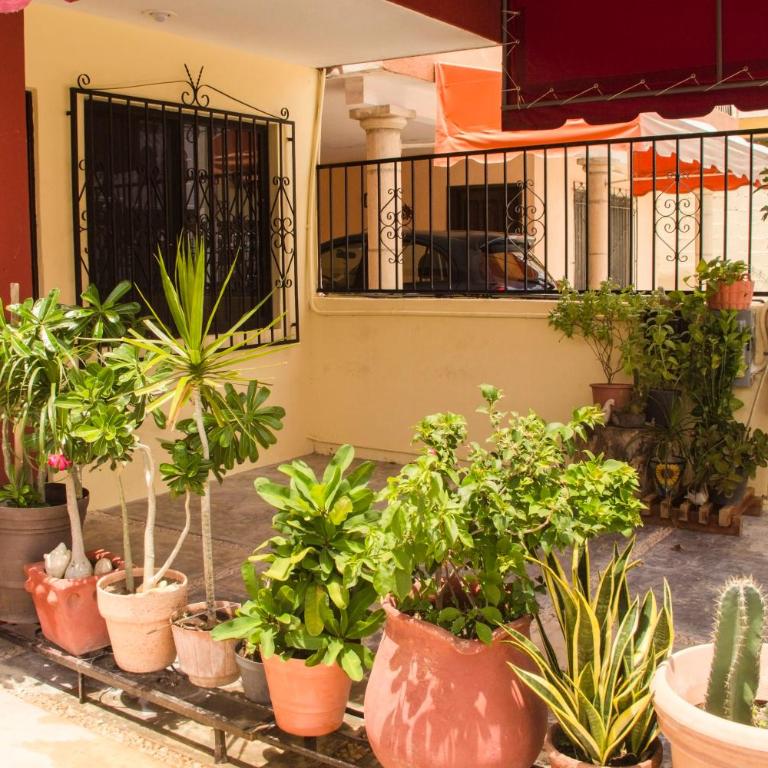 La Casa del Chac - Casa de 2 dormitorios - 43