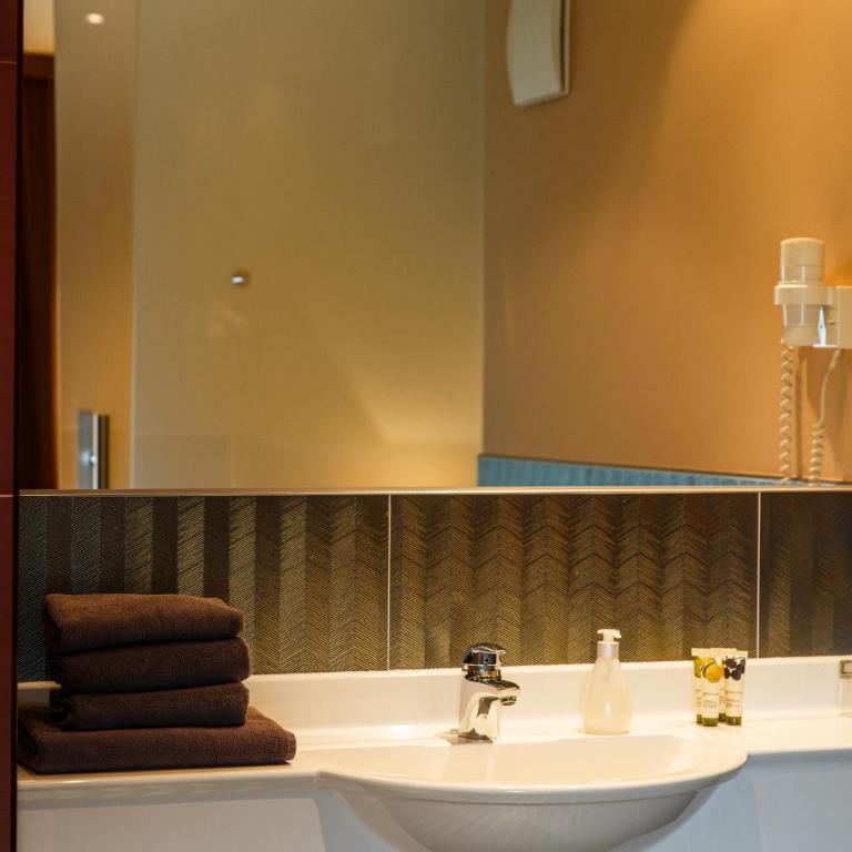 Hotel Salzburg Airport - Business Einzelzimmer - 6