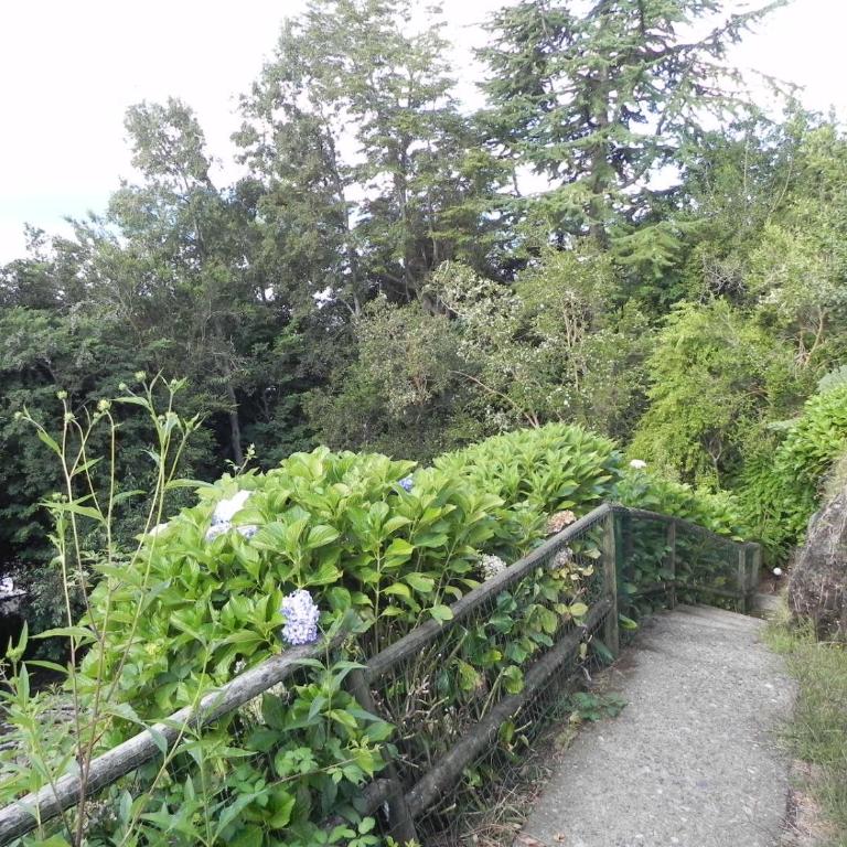 Casa Orilla Lago - Casa Unifamiliar de 2 dormitorios - 19