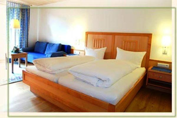 Hotel Edelweiss - Camera Doppia con Letti Singoli, Balcone e Vista Montagna - 6