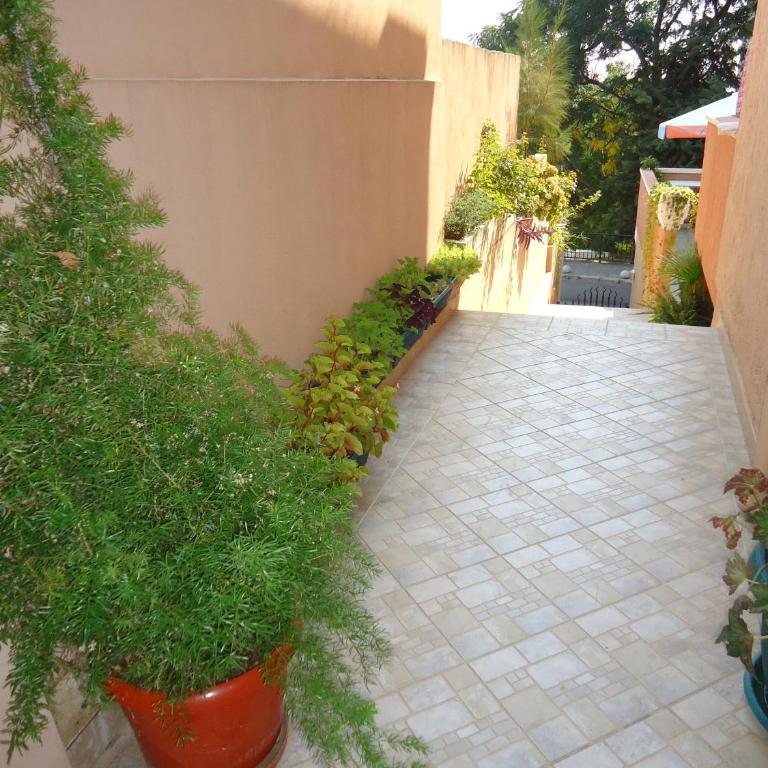 Apartments Villa Mićunović - Three-Bedroom Apartment with Sea View - 10