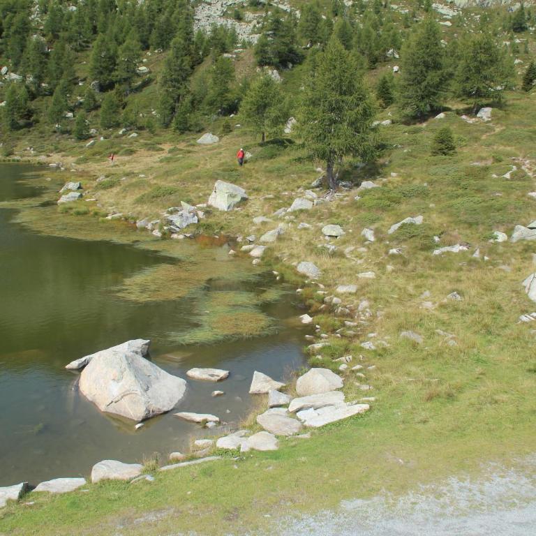 Rifugio Viviani Pradalago - Chambre Simple avec Salle de Bains Privative - 3