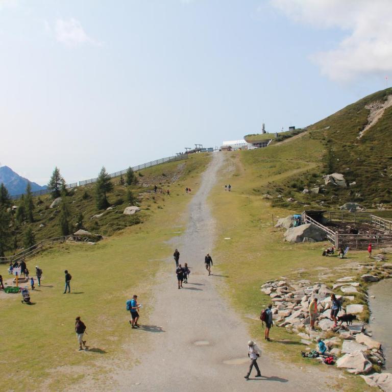 Rifugio Viviani Pradalago - Chambre Lits Jumeaux - 3