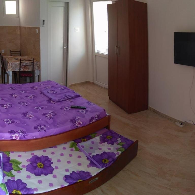 Apartmani Vujicic - Apartment with Mountain View - 5