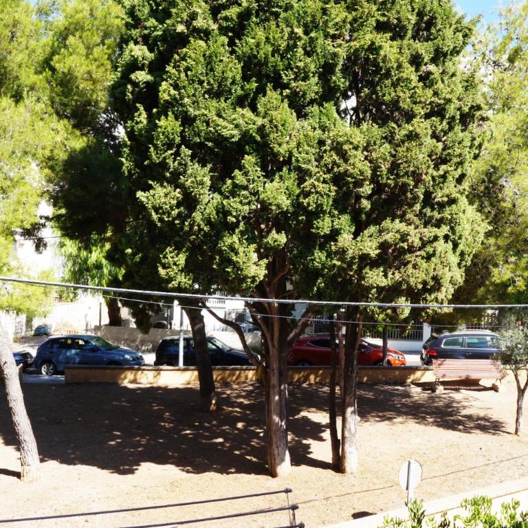 Matilda Home on the Beach - Apartamento con terraza - 20