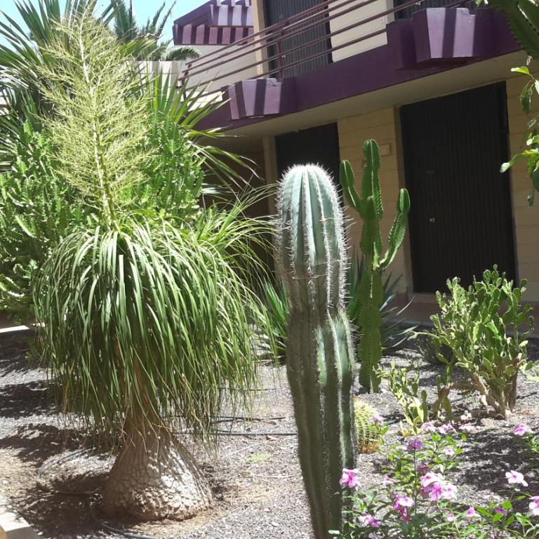 Beautiful Apartment Hercules - Apartamento - Planta baja - 26