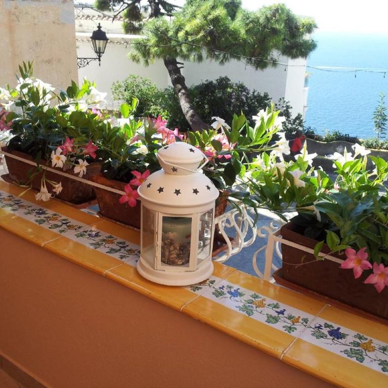 Angolo di Paradiso - De Vivo Realty Positano - Casa Vacanze - 18