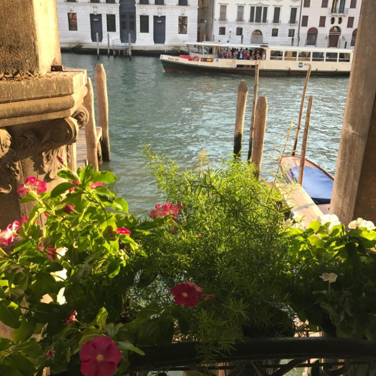 La Felice Canal Grande - Appartamento Deluxe - 31