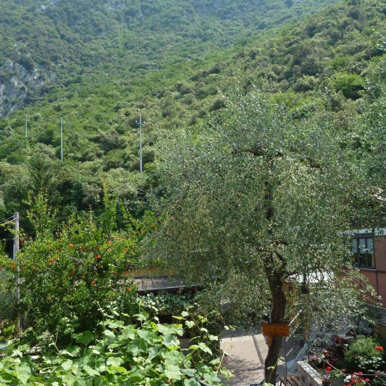 Camping Alpino - Nature Village - Appartamento con Balcone - 2