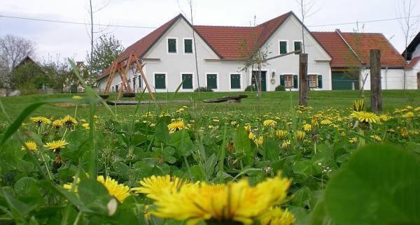 Dorfhof Bauer - Apartment mit 2 Schlafzimmern - 13